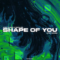 Shape of You (Afro House) (Single)