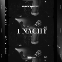 1 Nacht (Single)