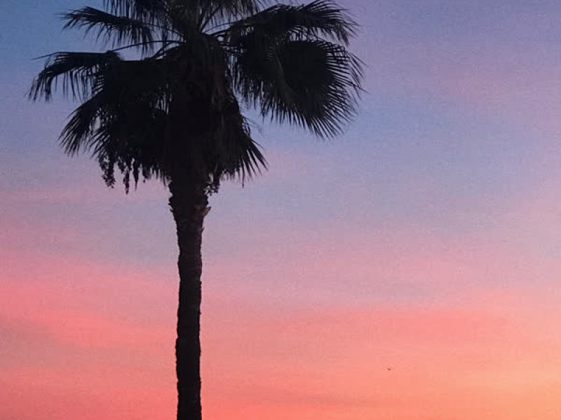 Son Infinitos (Single)