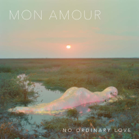 No Ordinary Love (Single)