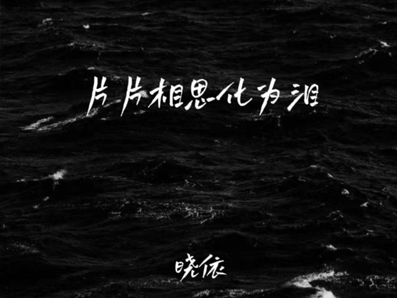 片片相思化为泪 (Single)