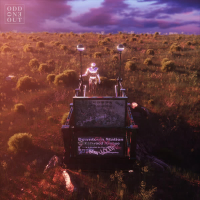 Youth Is Wasted on the Young (EP)