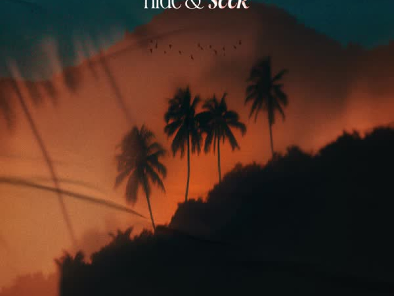 Hide & Seek (Single)