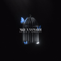 NKBİ X YAPAMAM (Remix) (Single)