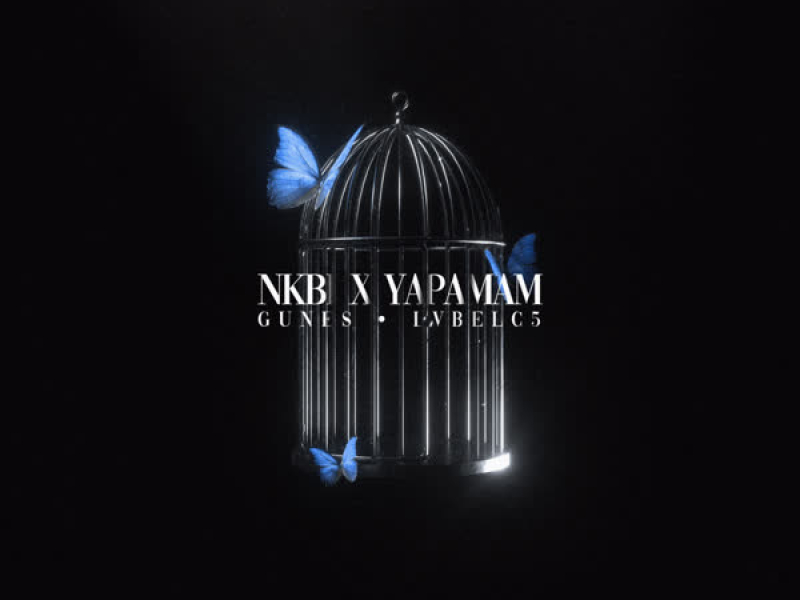NKBİ X YAPAMAM (Remix) (Single)