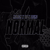 Normal (Single)
