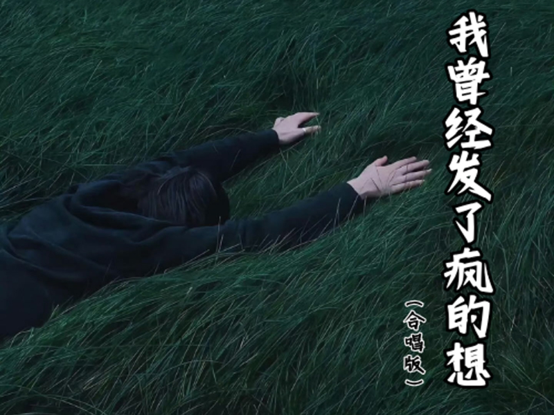 我曾经发了疯的想 (合唱版) (Single)