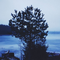 När Dimman Sveper In (Single)