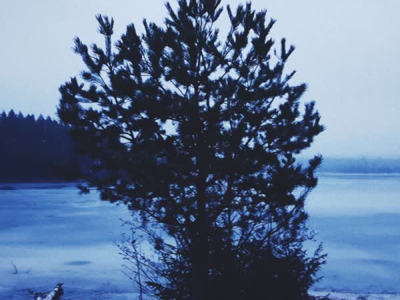 När Dimman Sveper In (Single)