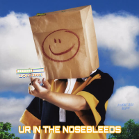 UR IN THE NOSEBLEEDS (Radio Edit) (Single)