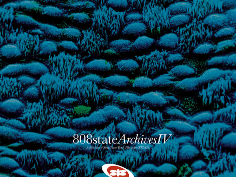 808 Archives (Pt. IV)