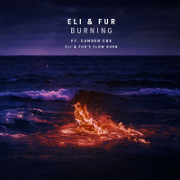 Burning (Eli & Fur's Slow Burn) (Single)