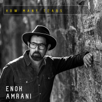 How Many Tears (Single)