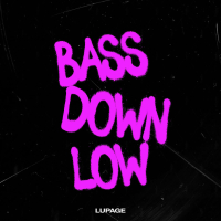 BASS DOWN LOW (Single)