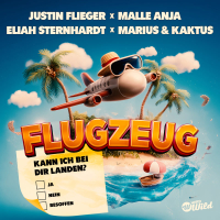 Flugzeug (Single)