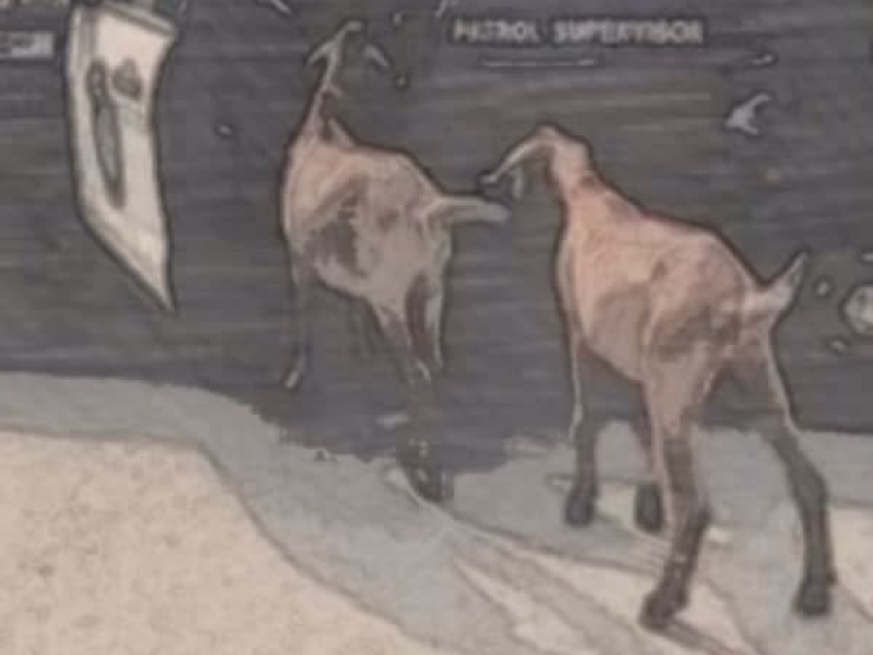 Truly Humbled Under God (Single)