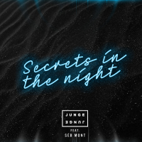 Secrets In The Night (Single)
