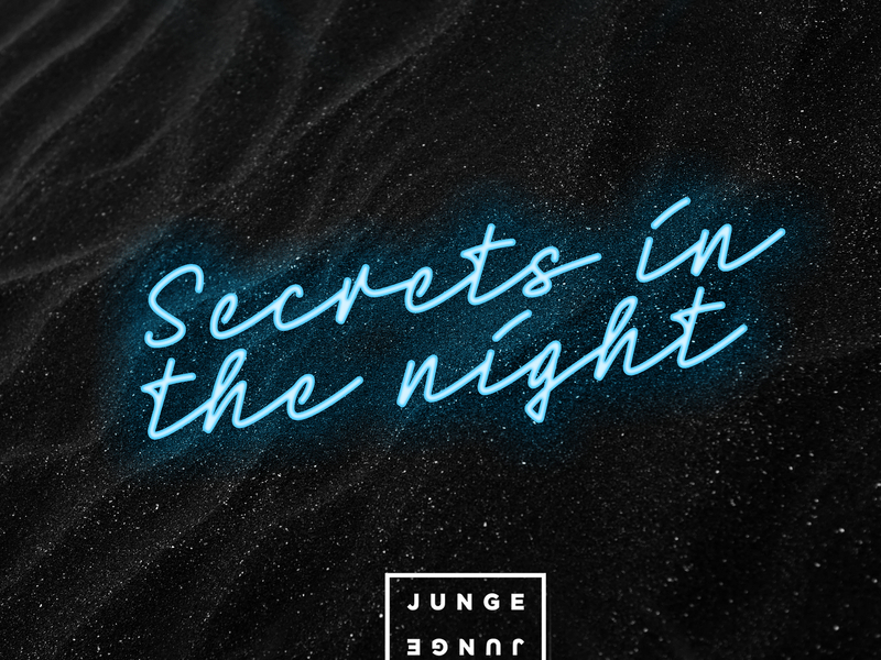 Secrets In The Night (Single)