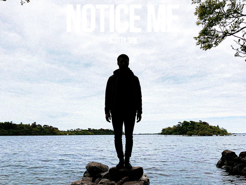 Notice Me (Single)