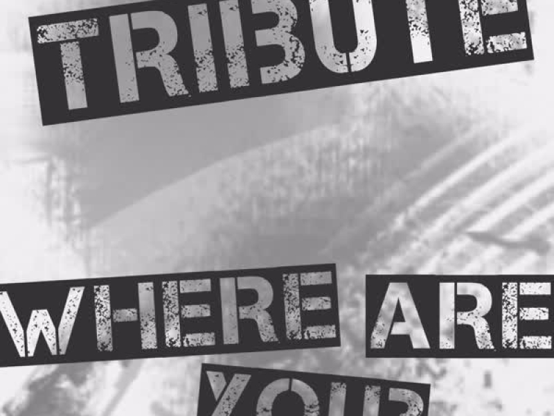 Where Are You (B.o.B Vs. Bobby Ray Cover) (Single)