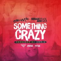 Something Crazy (feat. Sebastian Mikael)