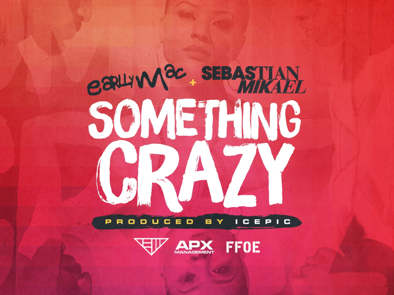 Something Crazy (feat. Sebastian Mikael)