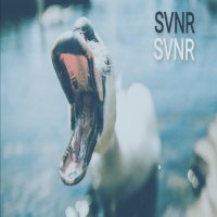 SVNR