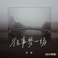 往事梦一场 (Dj小拾版) (Single)