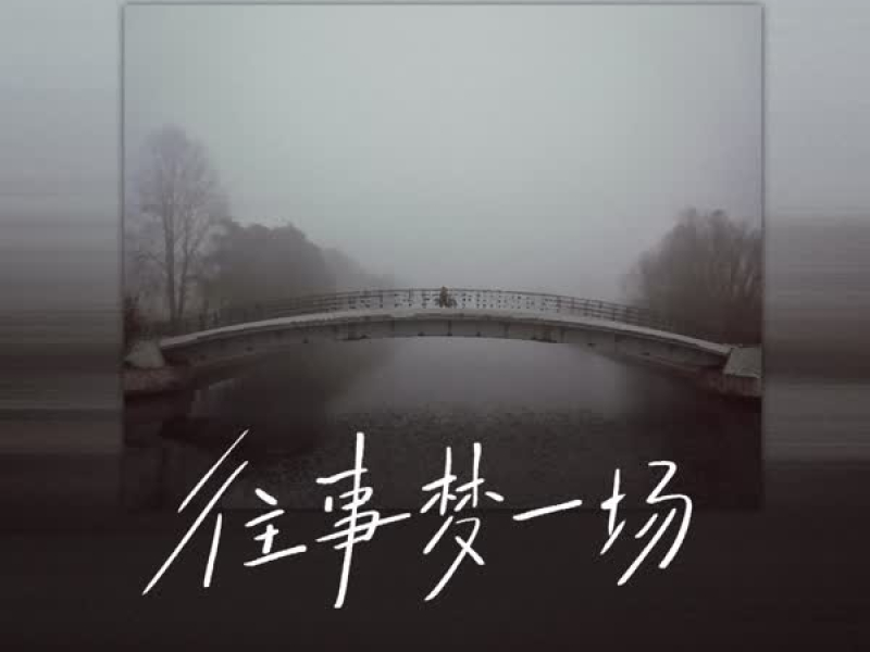 往事梦一场 (Dj小拾版) (Single)