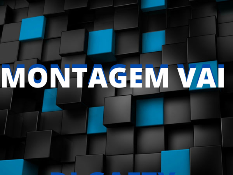 MONTAGEM VAI (Single)