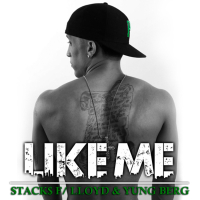 Like Me (Single)