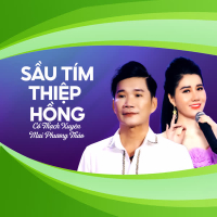 Sầu Tím Thiệp Hồng (Single)