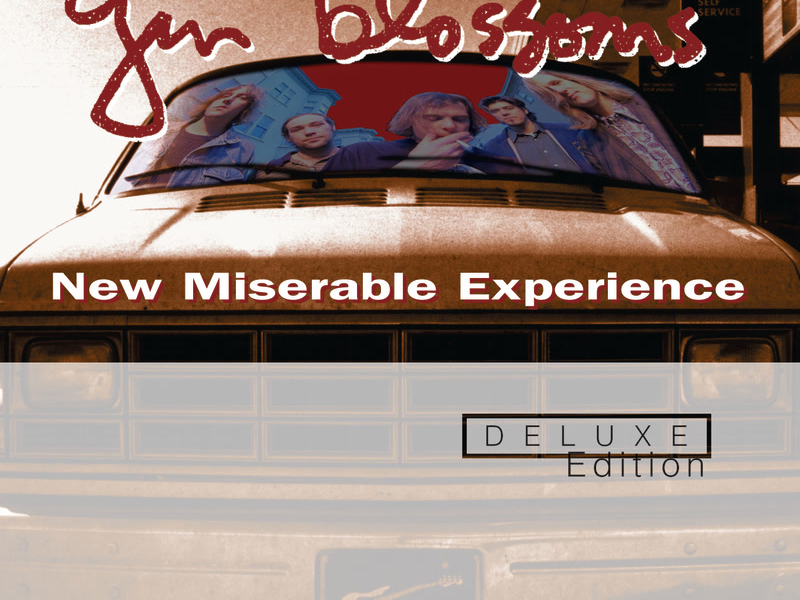 New Miserable Experience