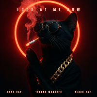 Look At Me Now (Techno Mix) (EP)