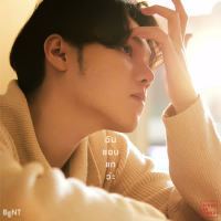 ฉันชอบแกว่ะ (Single)