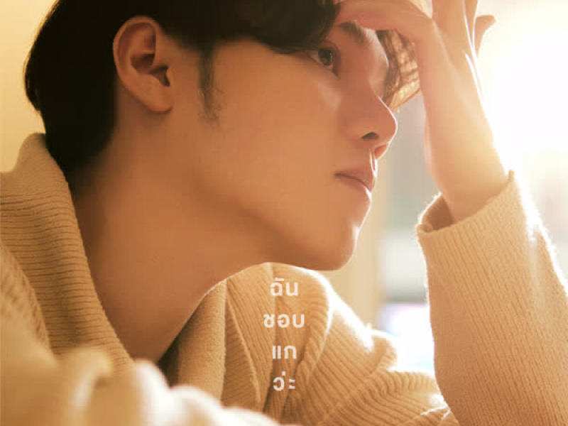 ฉันชอบแกว่ะ (Single)