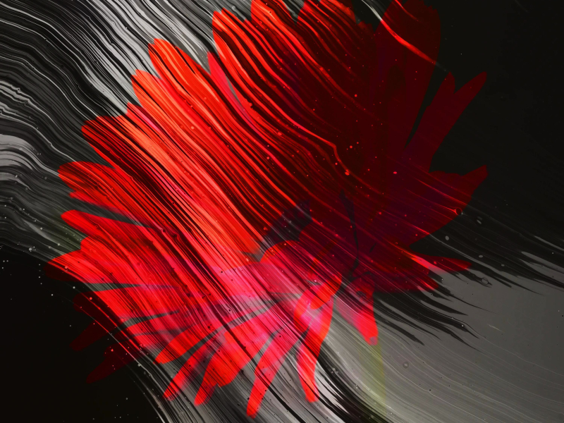 Into Silence (Single)