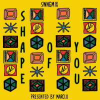 Shape of You Swngmix (Single)