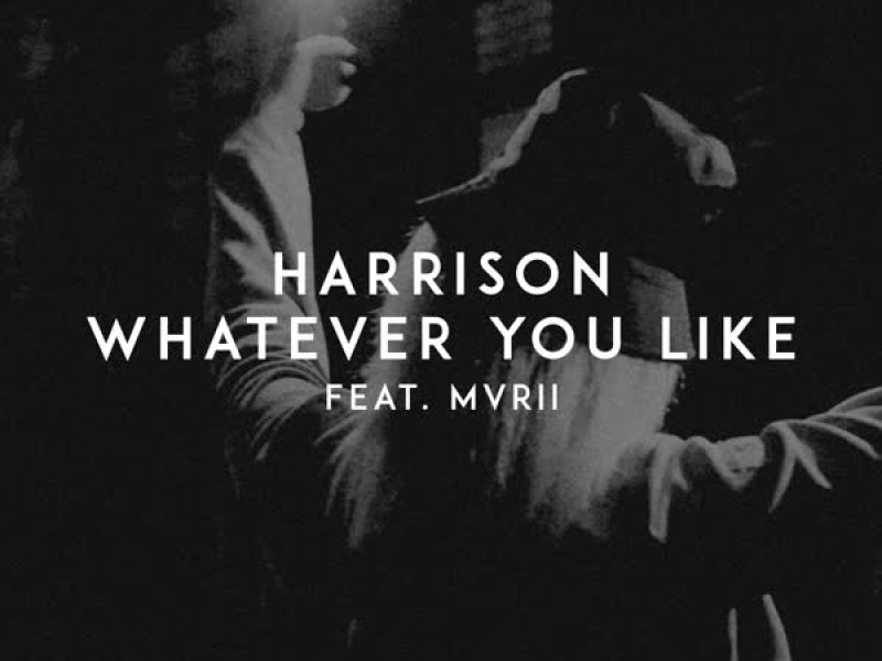 Whatever You Like (Single)