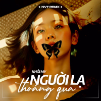 Người Lạ Thoáng Qua (NVT Remix) (Single)