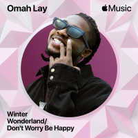 Winter Wonderland/Don’t Worry Be Happy (Single)