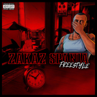 ZS FREESTYLE (Single)