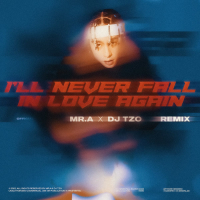 I'll Never Fall In Luv Again (Tzo Remix) (Single)
