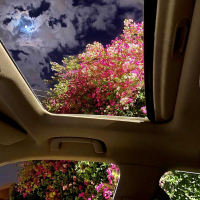 in meinem raum (Single)