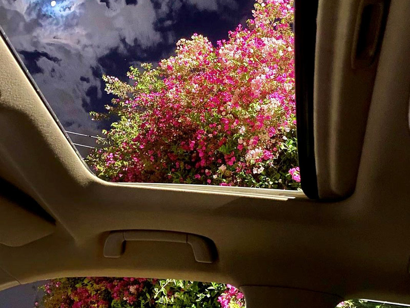 in meinem raum (Single)