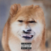 SHIBA INU (Single)