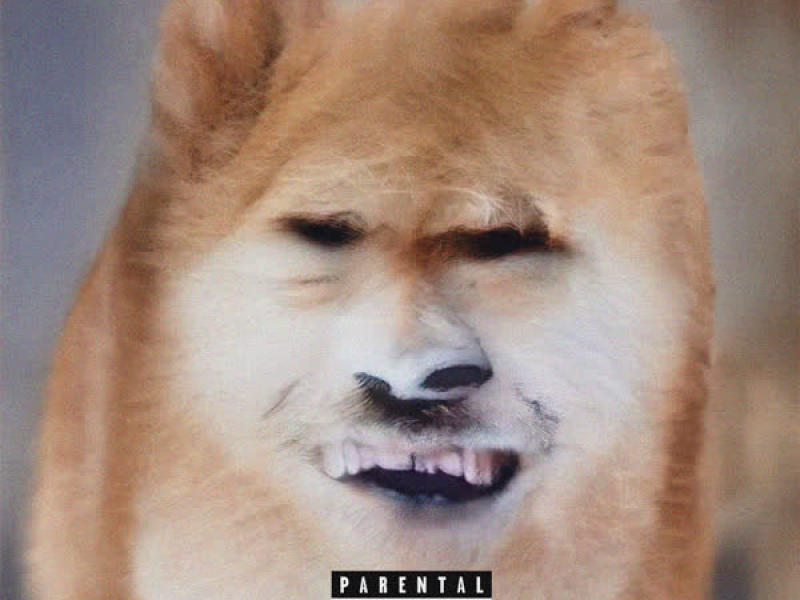 SHIBA INU (Single)