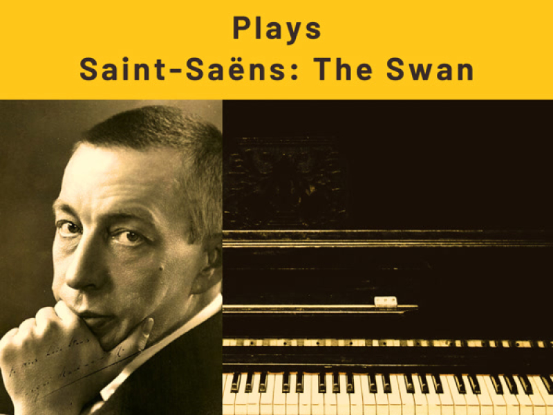 Saint-Saëns: The Carnival of the Animals, R. 125: No. 13, The Swan (2025 Remaster) (Single)