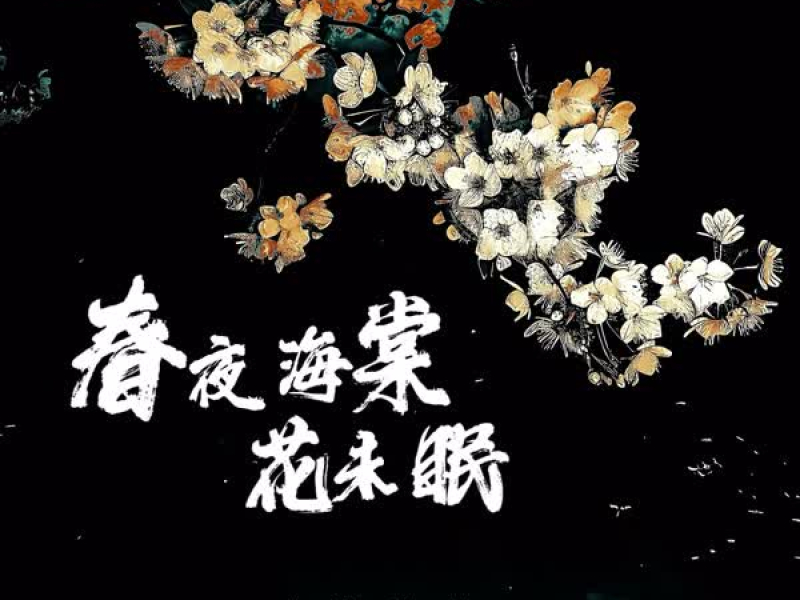 春夜海棠花未眠 (DJ西柚版) (Single)