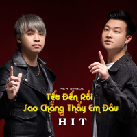 Tết Đến Rồi Sao Chẳng Thấy Em Đâu (Single)